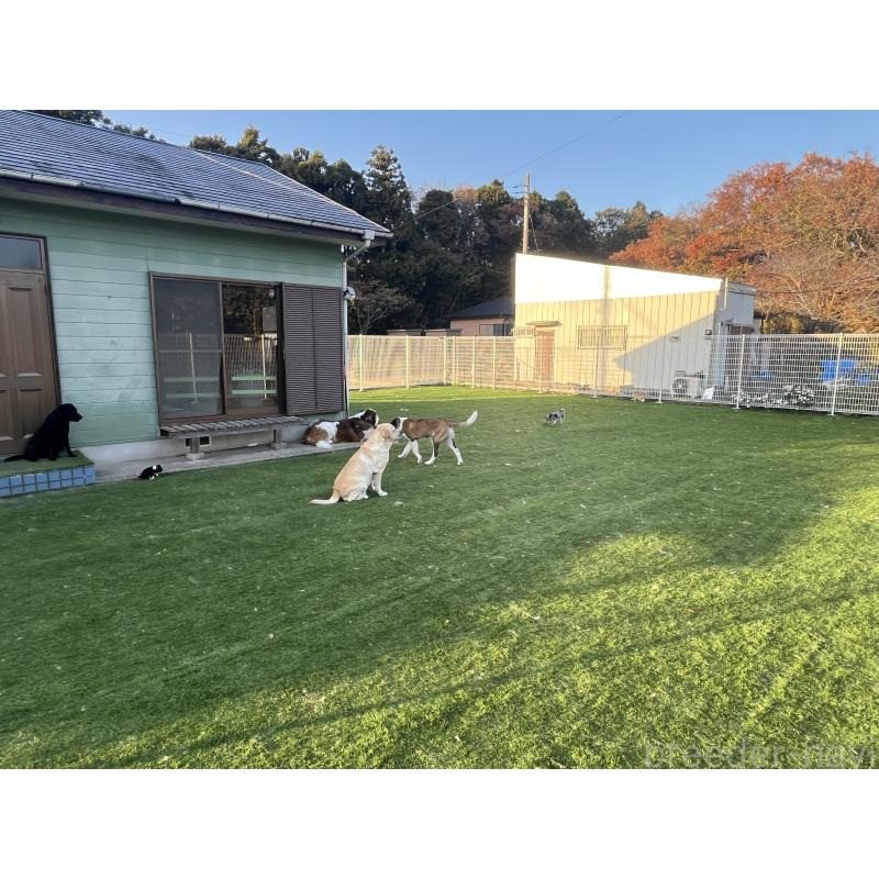 高野和重ブリーダーの詳細