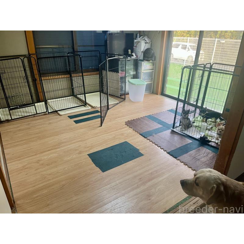 高野和重ブリーダーの詳細