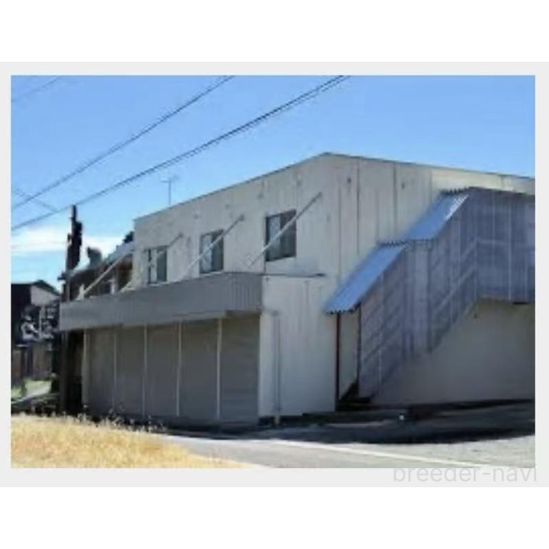 沈秀菙ブリーダーの詳細