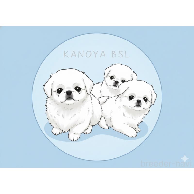 宇都宮敬子ブリーダーの詳細の1枚目