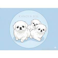 宇都宮敬子ブリーダー