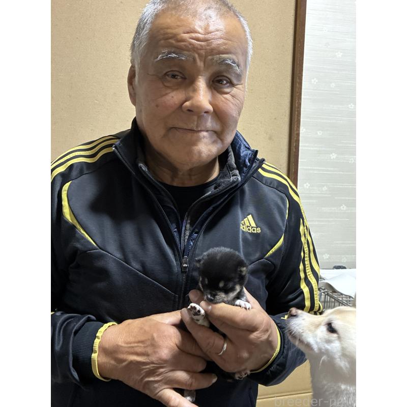 佐藤里美ブリーダーの詳細の1枚目