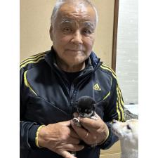 佐藤里美ブリーダー