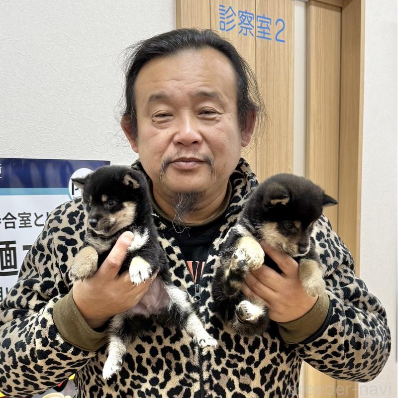 小川典子ブリーダーの詳細