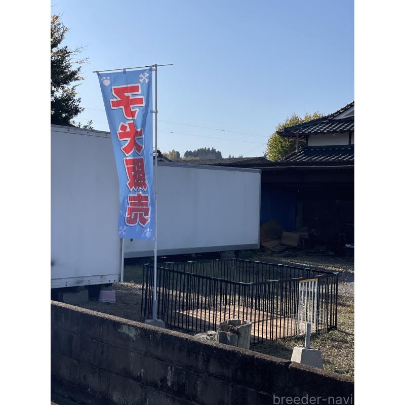 毛利三英ブリーダーの詳細