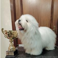 柳井遥ブリーダー