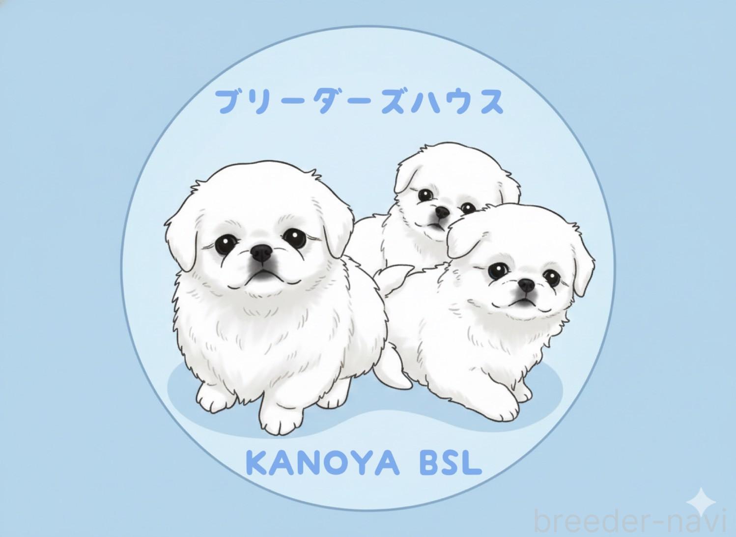 宇都宮ブリーダー