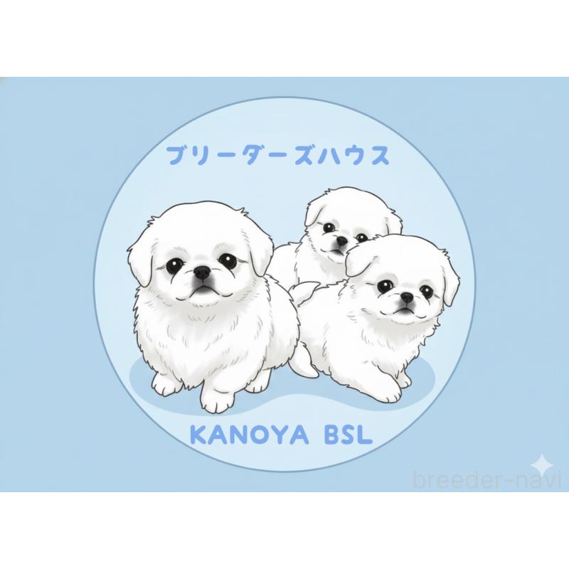 宇都宮敬子ブリーダーの詳細の1枚目