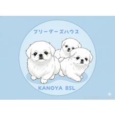 宇都宮敬子ブリーダー