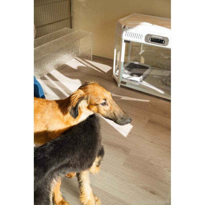 KOTENブリーダーの詳細