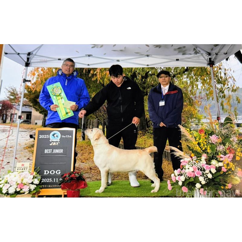 太田聖一ブリーダーの詳細の1枚目