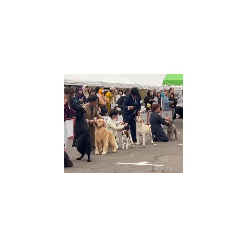 太田聖一ブリーダーの詳細