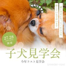 鈴木理菜ブリーダー