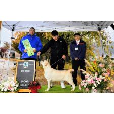 太田聖一ブリーダー