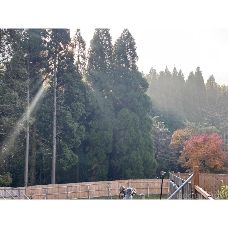 福島貴子ブリーダーの詳細