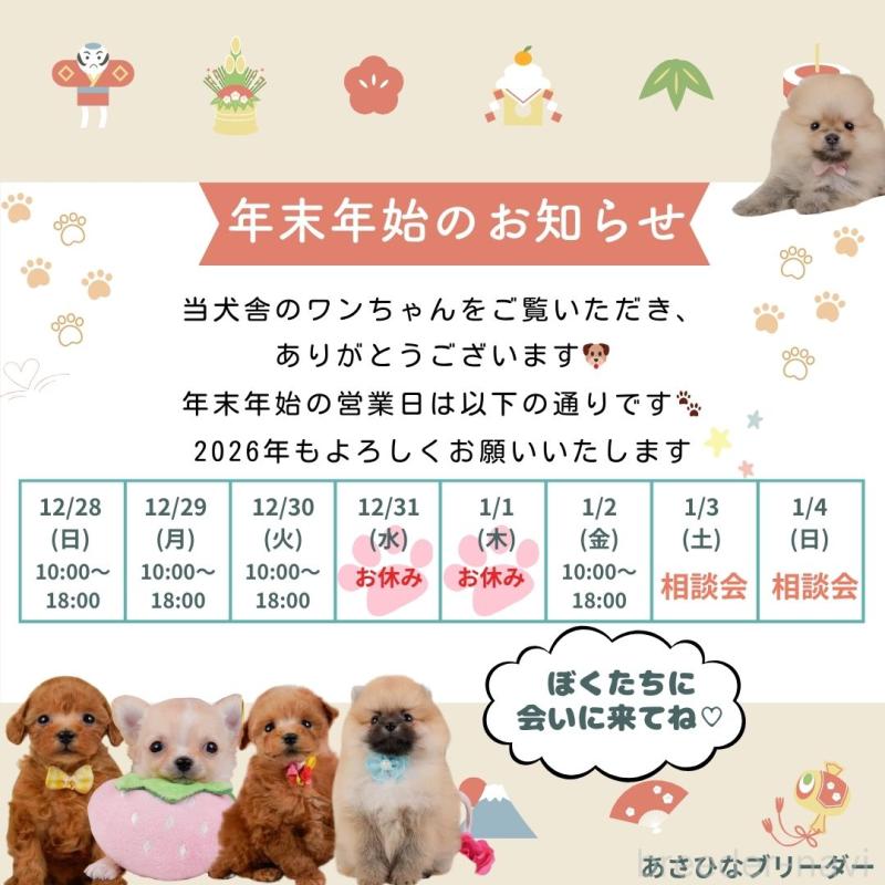 朝比奈杏奈ブリーダーの詳細