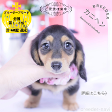 オンライン見学