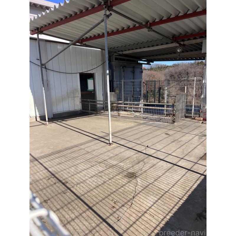 小峯和則ブリーダーの詳細