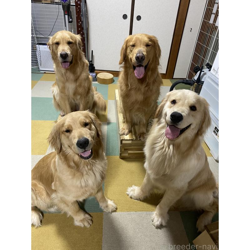 松下幸則ブリーダーの詳細