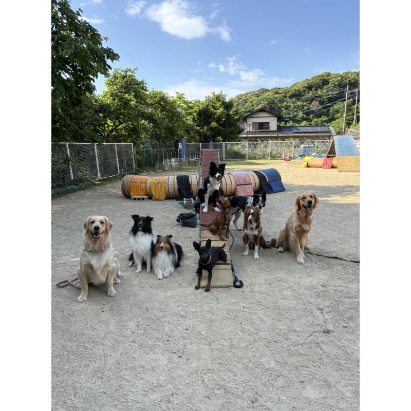 荒木寿子ブリーダーの詳細