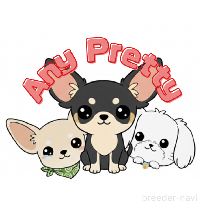 三角良子ブリーダーの詳細の1枚目