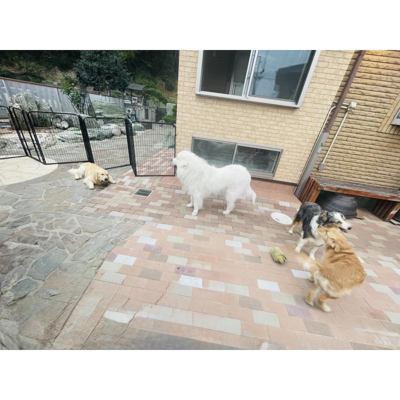 金本薫ブリーダーの詳細