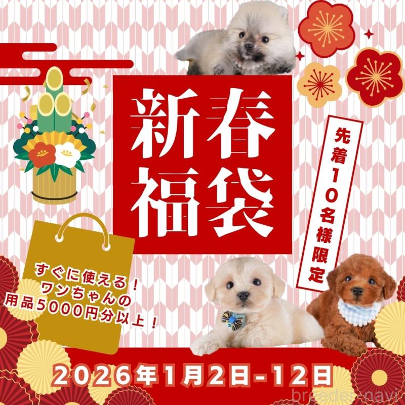 鈴木愛ブリーダーの詳細の1枚目