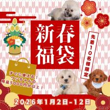 鈴木愛ブリーダー