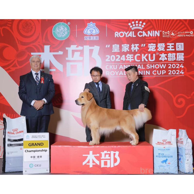 株式会社D&Petimeブリーダーの詳細