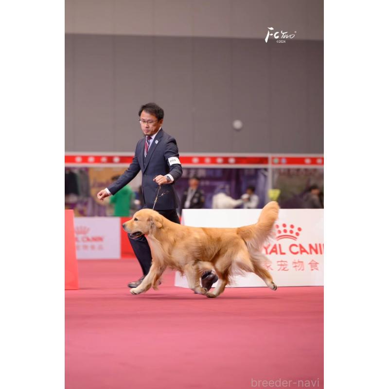 株式会社D&Petimeブリーダーの詳細