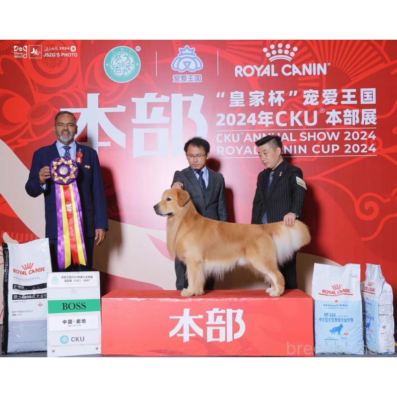 株式会社D&Petimeブリーダーの詳細