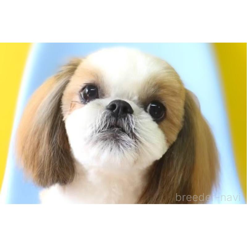 田端尚和ブリーダーの詳細