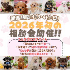 朝比奈杏奈ブリーダー