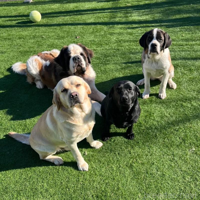 高野和重ブリーダーの詳細の1枚目