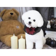 稲毛貴美ブリーダー