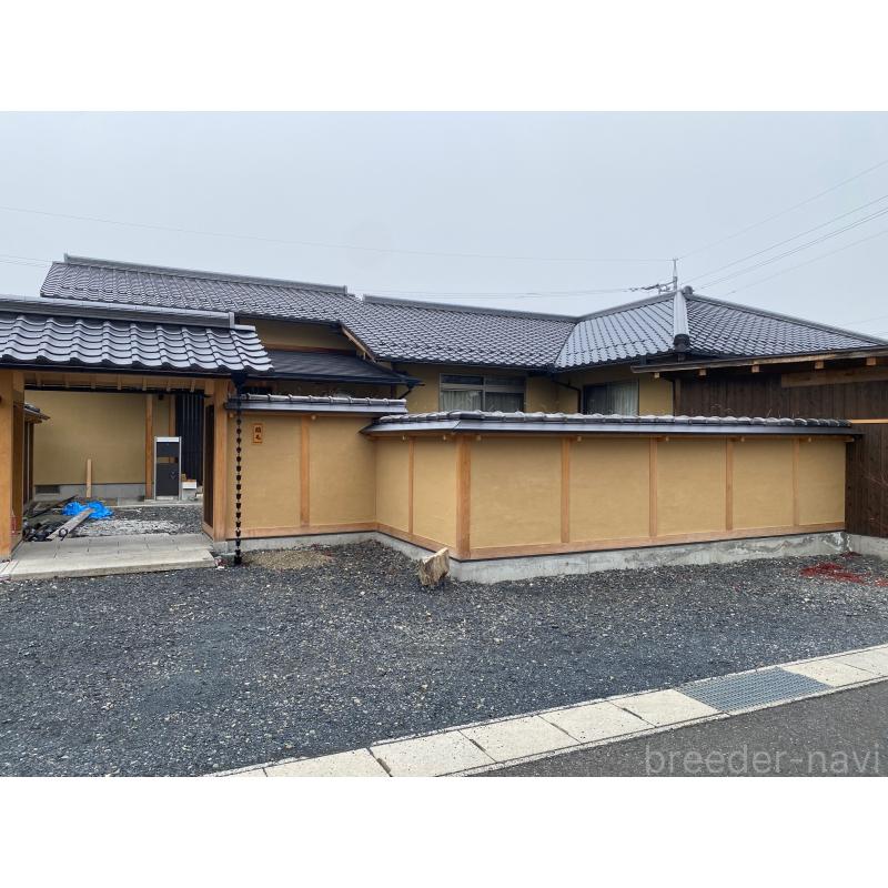 稲毛貴美ブリーダーの詳細