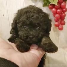 オンライン見学