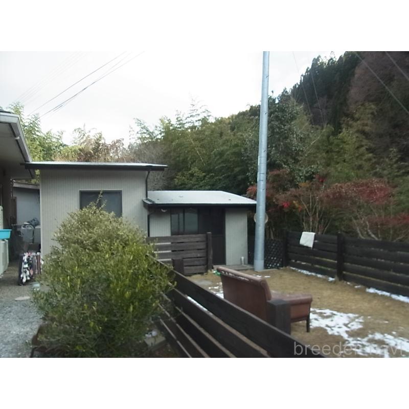 河野淳平ブリーダーの詳細