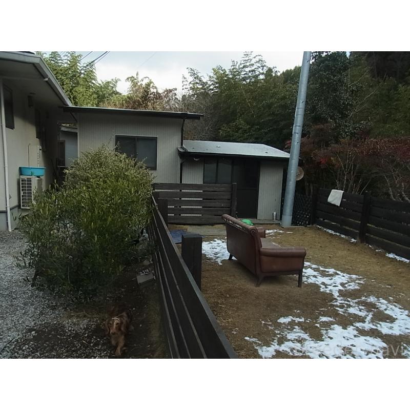 河野淳平ブリーダーの詳細