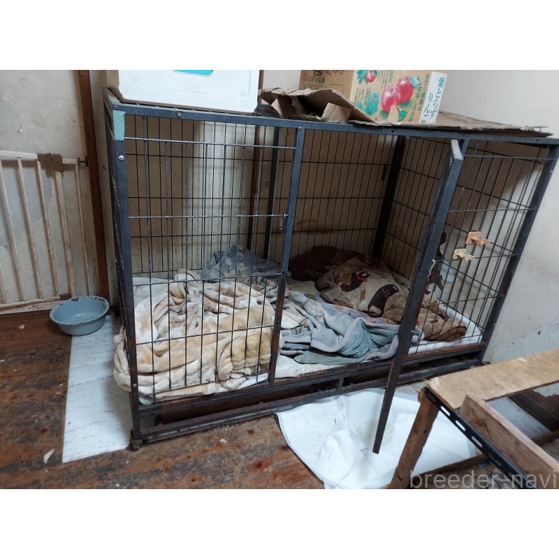 嶋添智範ブリーダーの詳細