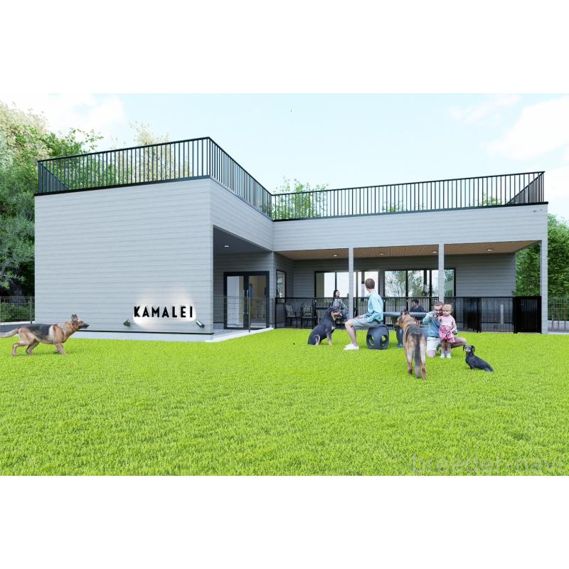 山梨美香ブリーダーの詳細