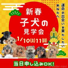 鈴木理菜ブリーダー