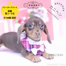 オンライン見学