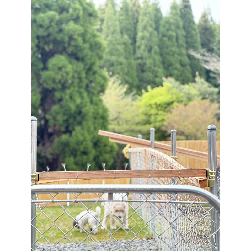 福島貴子ブリーダーの詳細