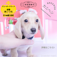 オンライン見学