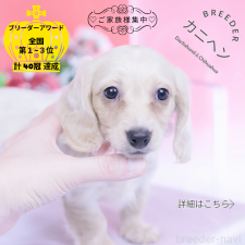 オンライン見学