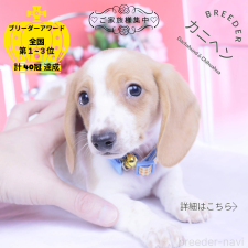 オンライン見学