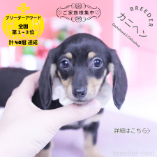 オンライン見学