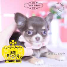 オンライン見学