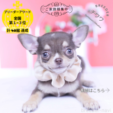 オンライン見学